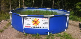 STOP Malaria